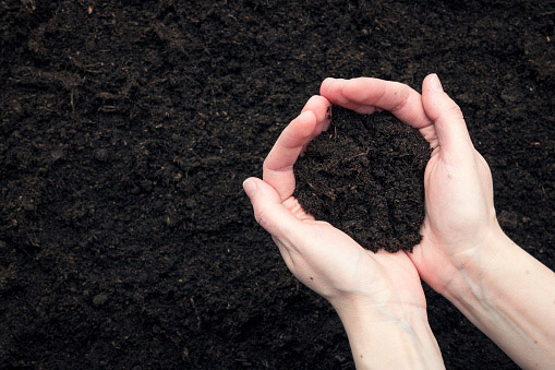 Topsoil suppliers colchester