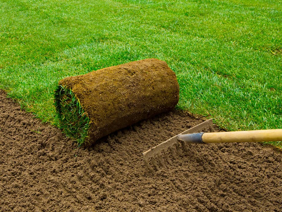 Turf laying services in Thaxted Essex